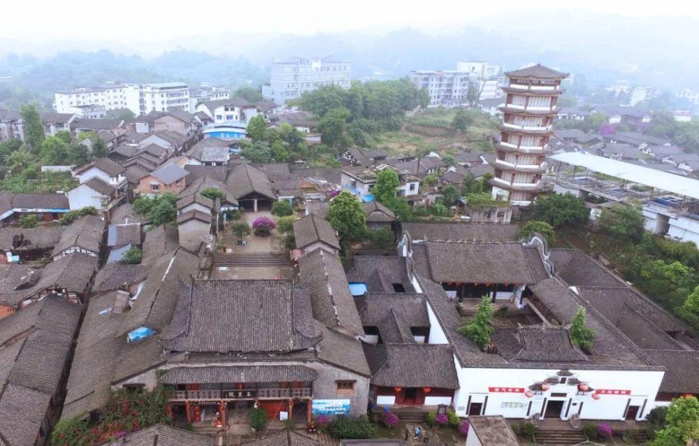 春雨直播app
